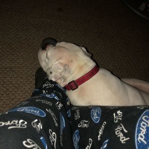 Meet your Posher, Jason